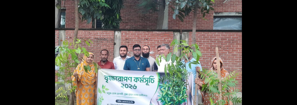 Tree Plantation