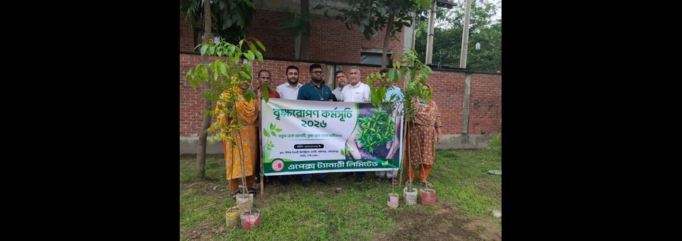 Tree Plantation
