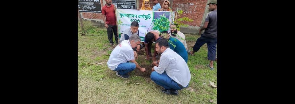 Tree Plantation